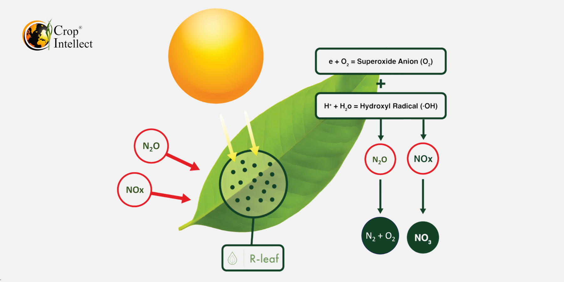 Image of converting Nitrogen Oxides to Nitrate and remove the greenhouse gas Nitrous Oxide from the atmosphere. Image of converting Nitrogen Oxides to Nitrate and remove the greenhouse gas Nitrous Oxide from the atmosphere.