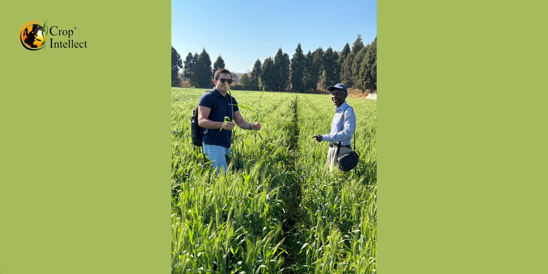Image of two people in a field Image of two people in a field
