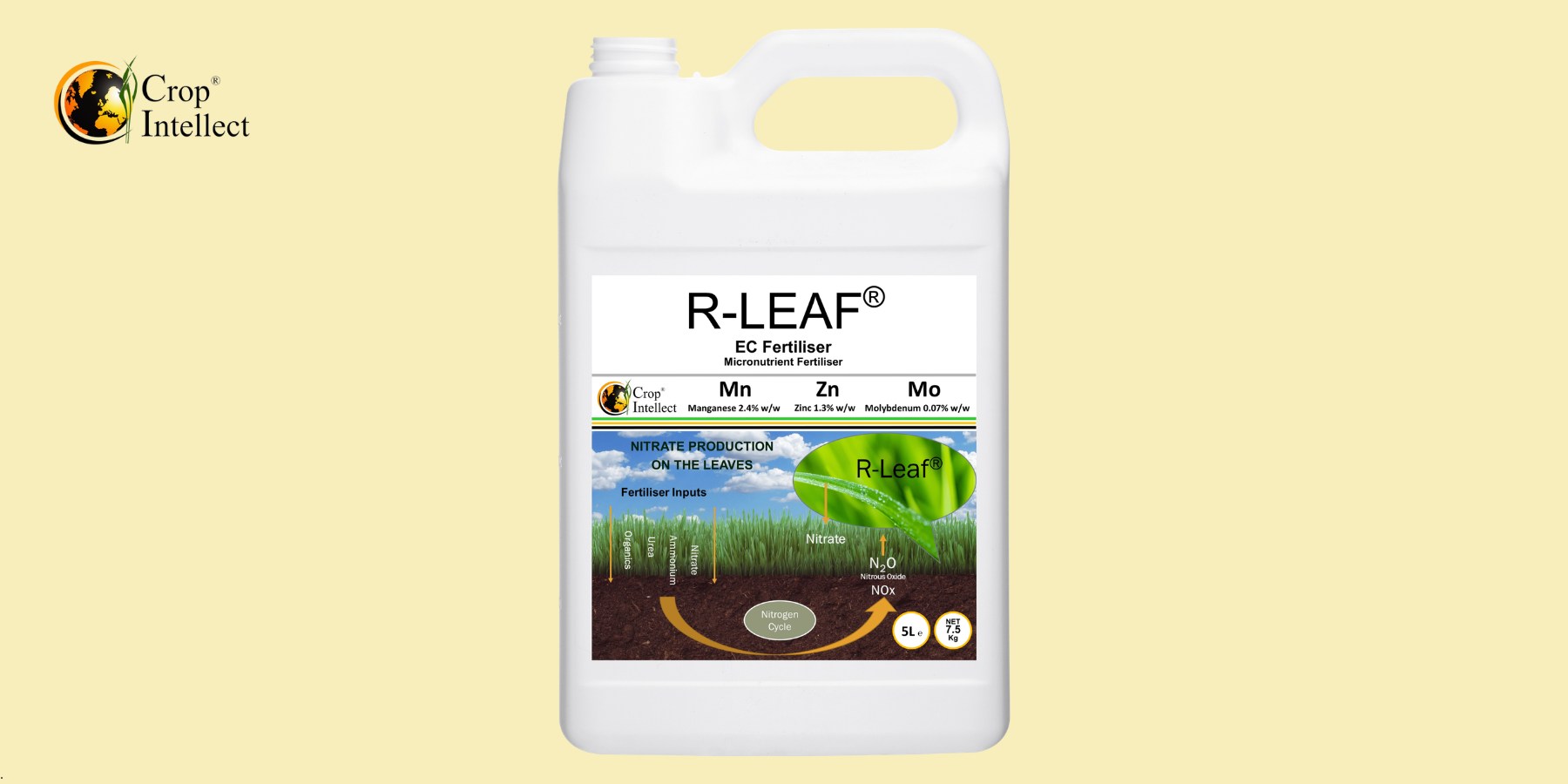 Image of R-Leaf flagship product Image of R-Leaf flagship product