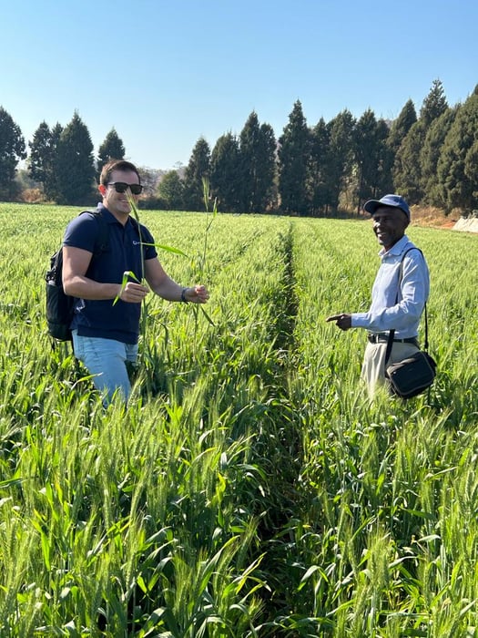Two men in a crop field smiling at the camera